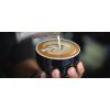 Sage BES875BKS  THE BARISTA EXPRESS™