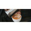 Sage BES875BKS  THE BARISTA EXPRESS™
