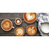 Sage BES875BKS  THE BARISTA EXPRESS™