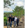 peru monteverde tym sucafina farma
