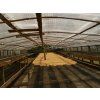 Kolumbie Tolima – středně pražená káva 100 % Arabica